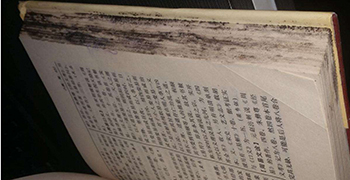 收藏的圖書(shū)為什么會(huì)發(fā)霉？圖書(shū)的防霉措施！